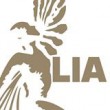 LIA London International Advertising Awards